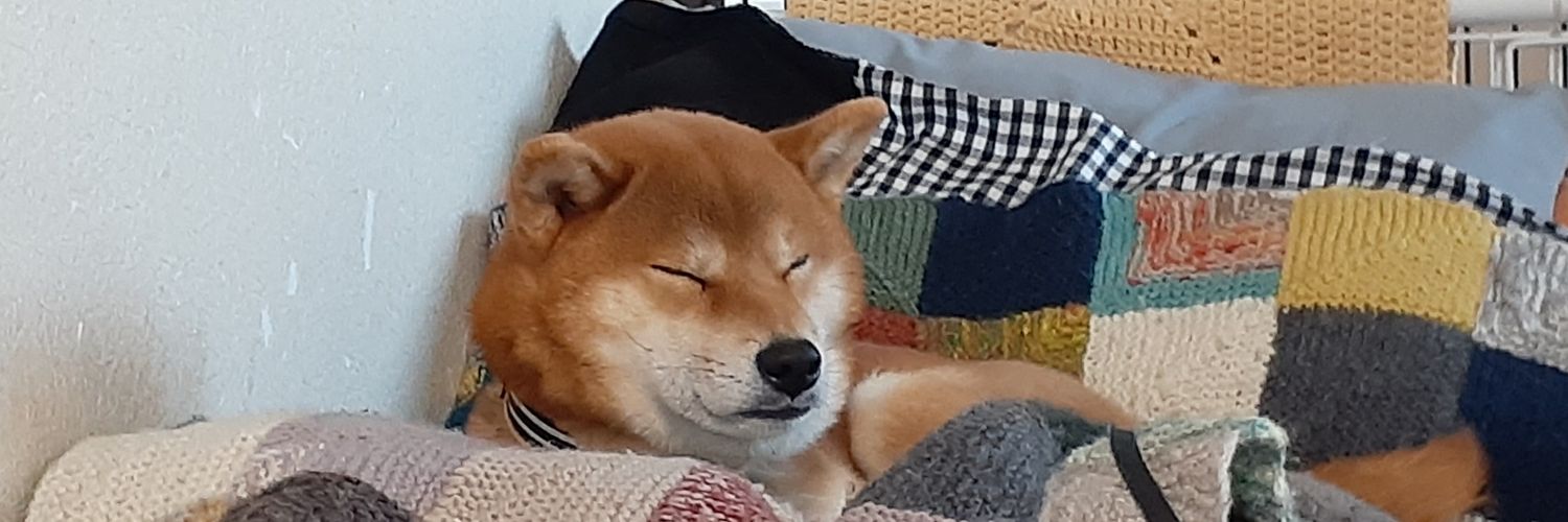tagu_33's profile banner image