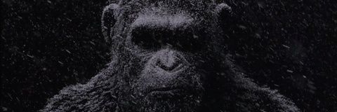 DJStooKey's profile banner image