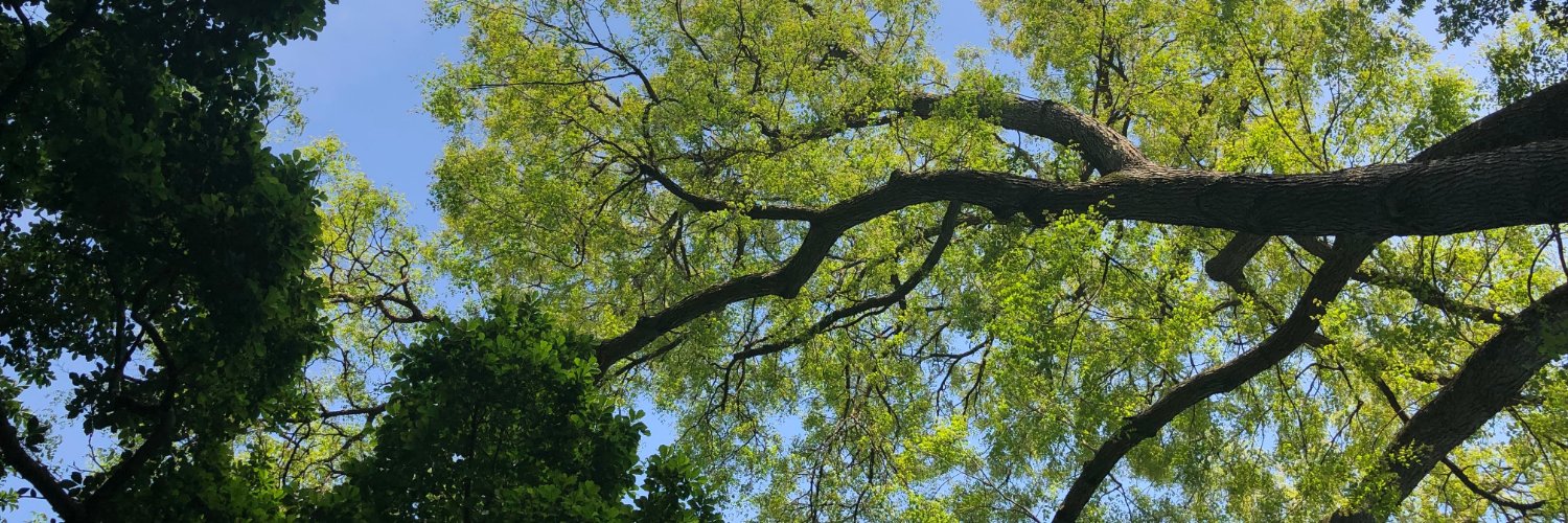 mroswell's profile banner image