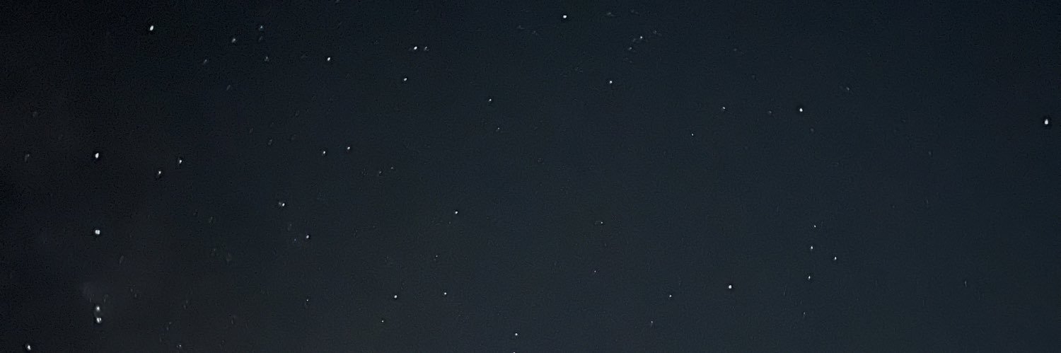 liz banner