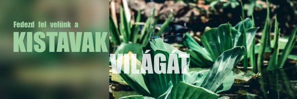 MyPond_HU Profile Banner