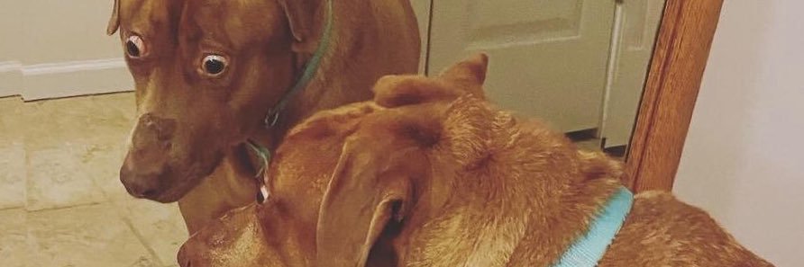 Tomatol0ver's profile banner image