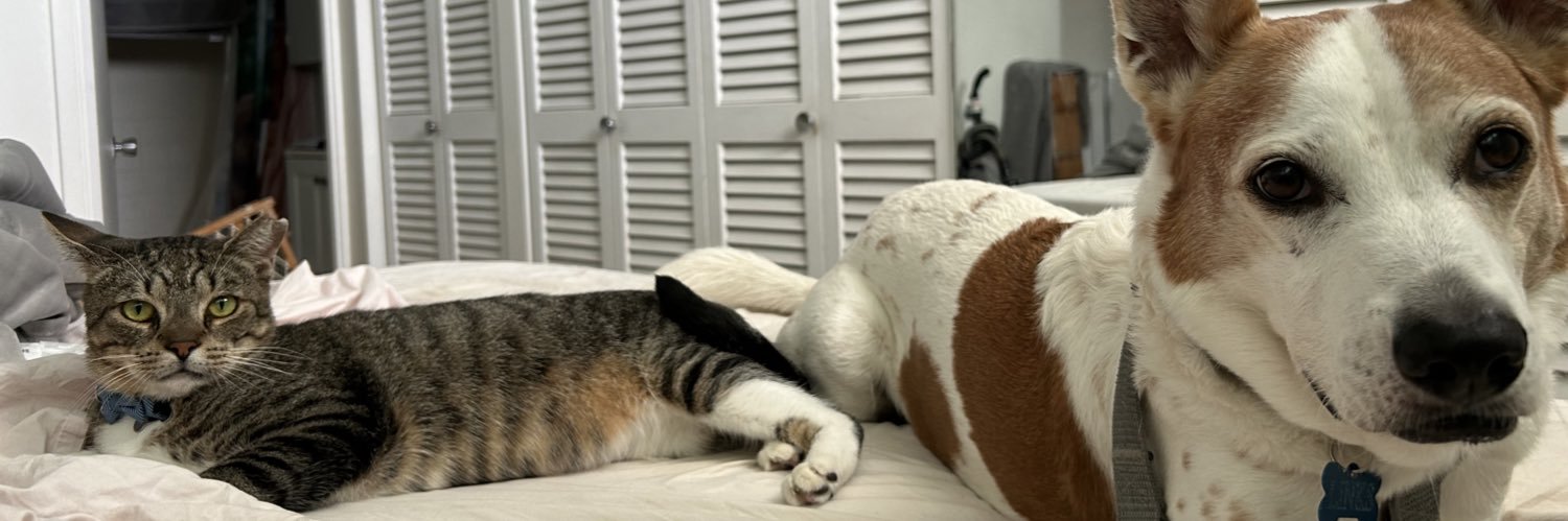 David J. Webb, Ph.D. banner