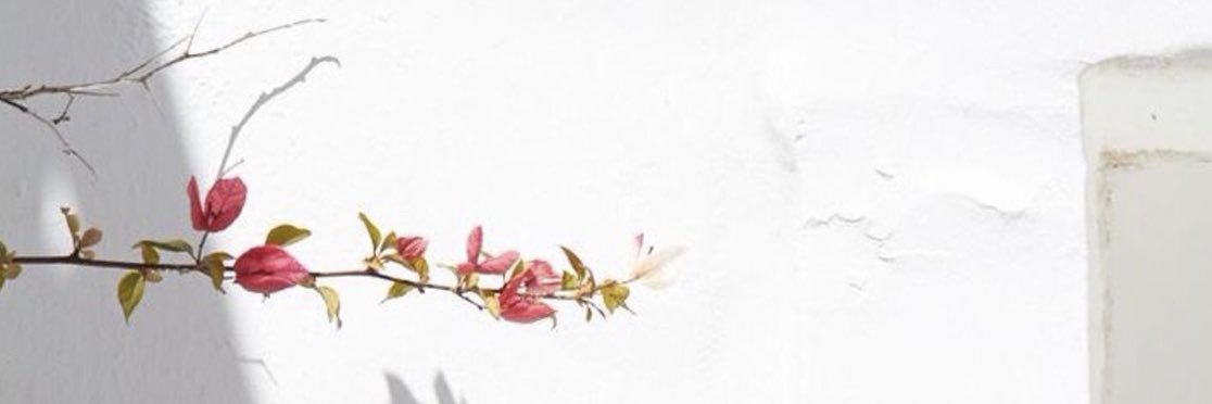 Qtr1N's profile banner image