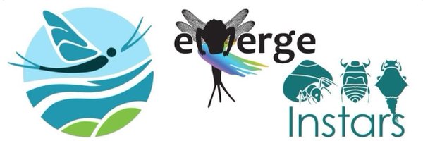 EmergeSfs Profile Banner