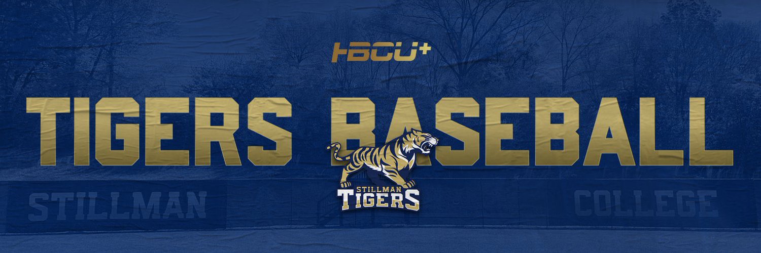 Stillman Tigers Baseball Profile Banner