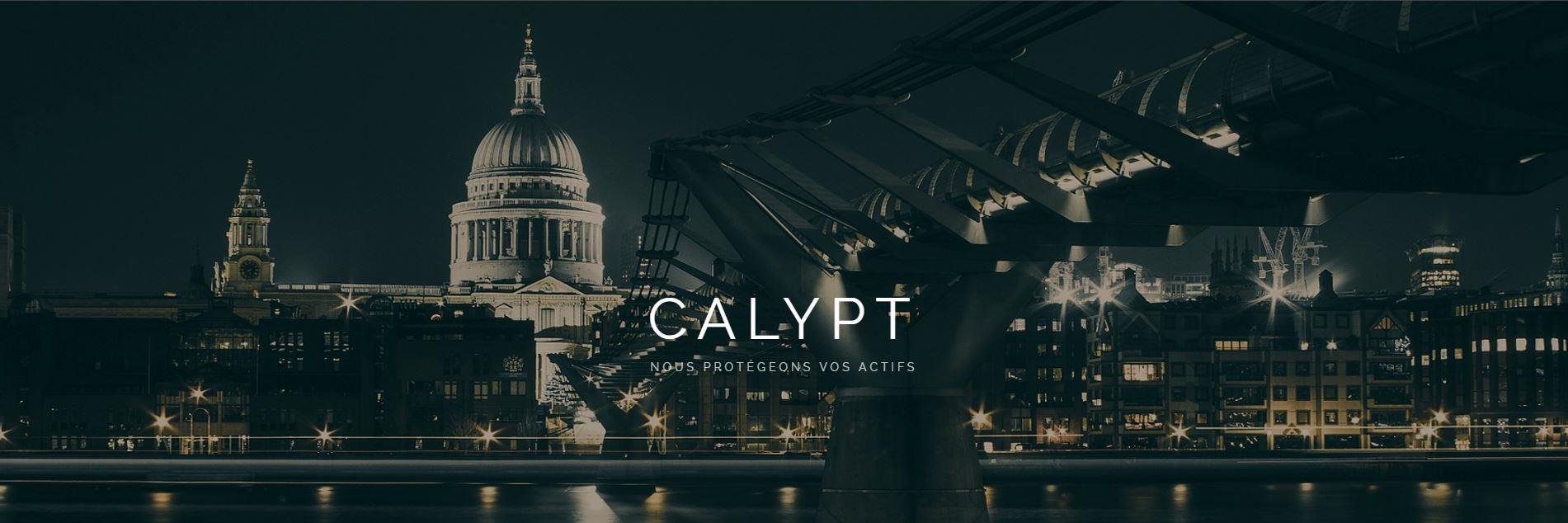 Calypt_'s profile banner image