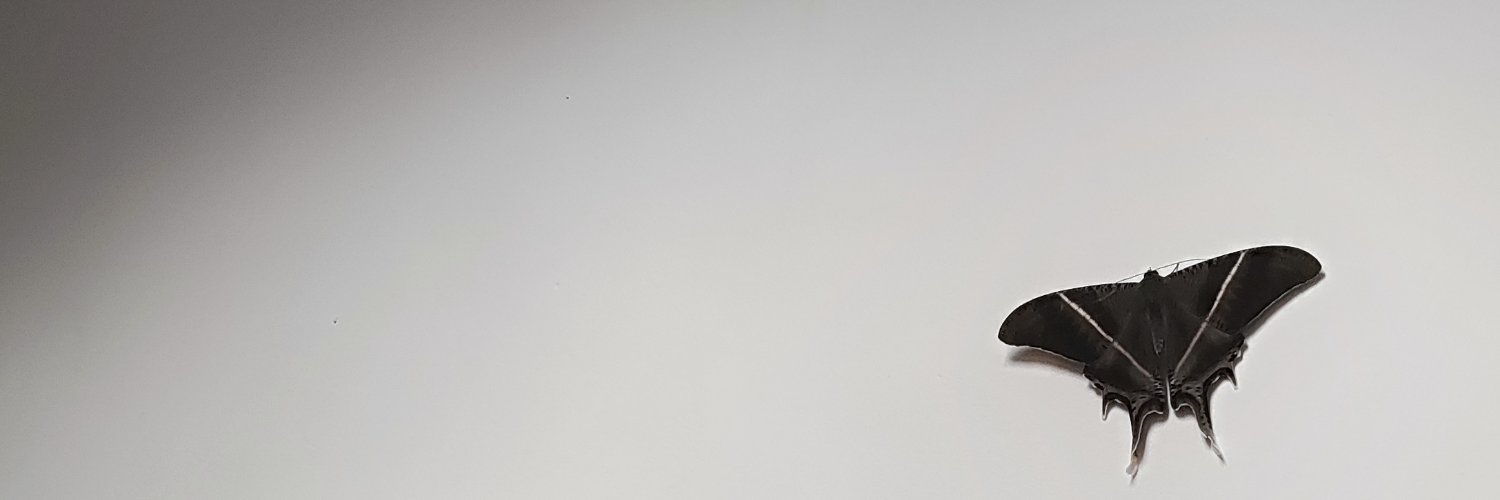 crowoYT's profile banner image