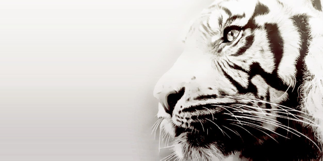 FreakFAM_'s profile banner image