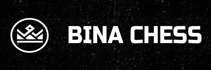 Bina Chess (@BinaChess) / Posts / X