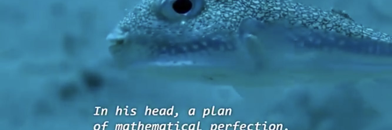 Gustav Markkula banner