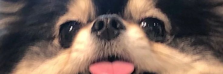 kay⁷ banner