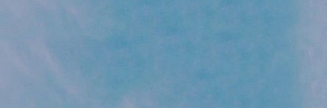ฟลุ๊กหมาจอมซน banner