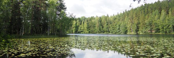 mamiaota09 Profile Banner