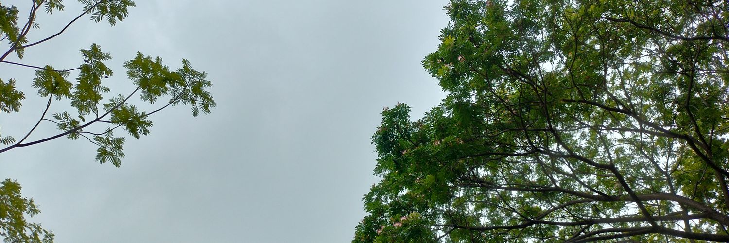 wit_judge's profile banner image