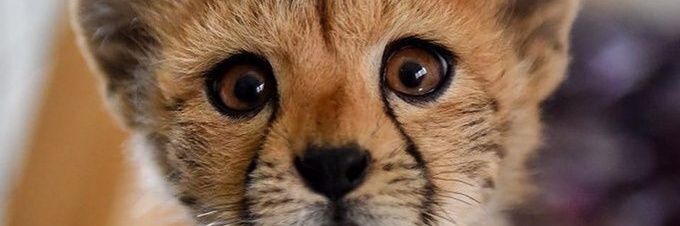 k1minn's profile banner image