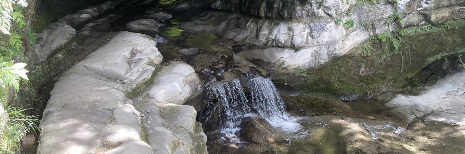 トム🔔🍥 banner