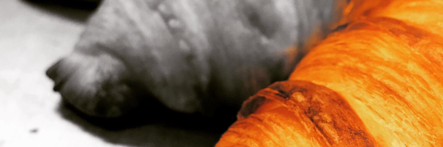 RithvikAnanth's profile banner image