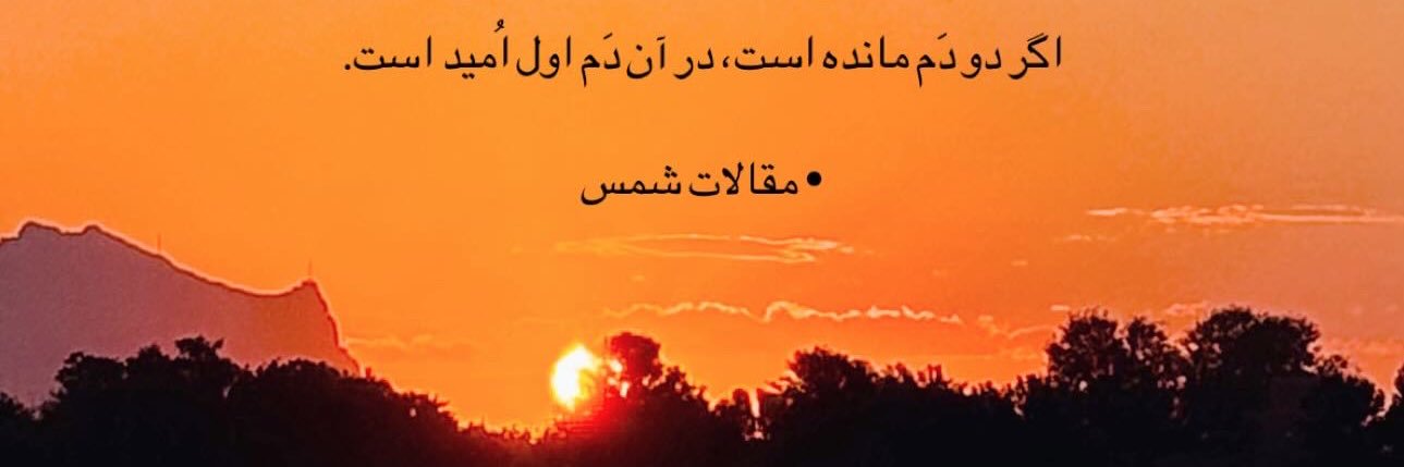 Nooshin banner