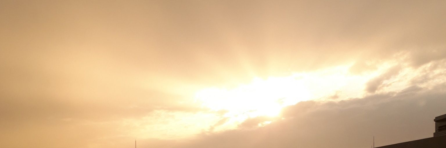 SEA_ch's profile banner image