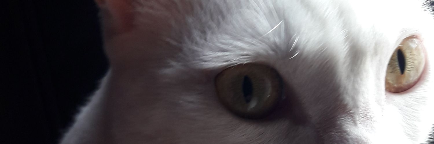 haideementzig's profile banner image