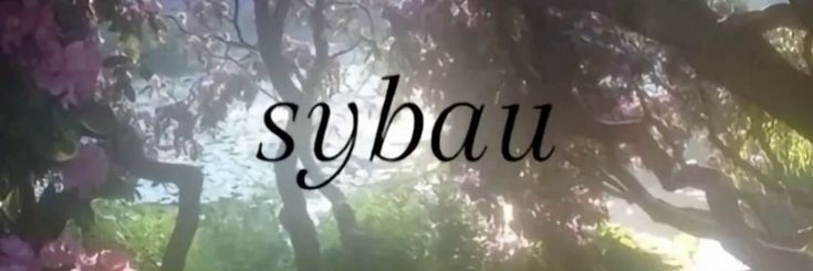 sybaudislaif's profile banner image