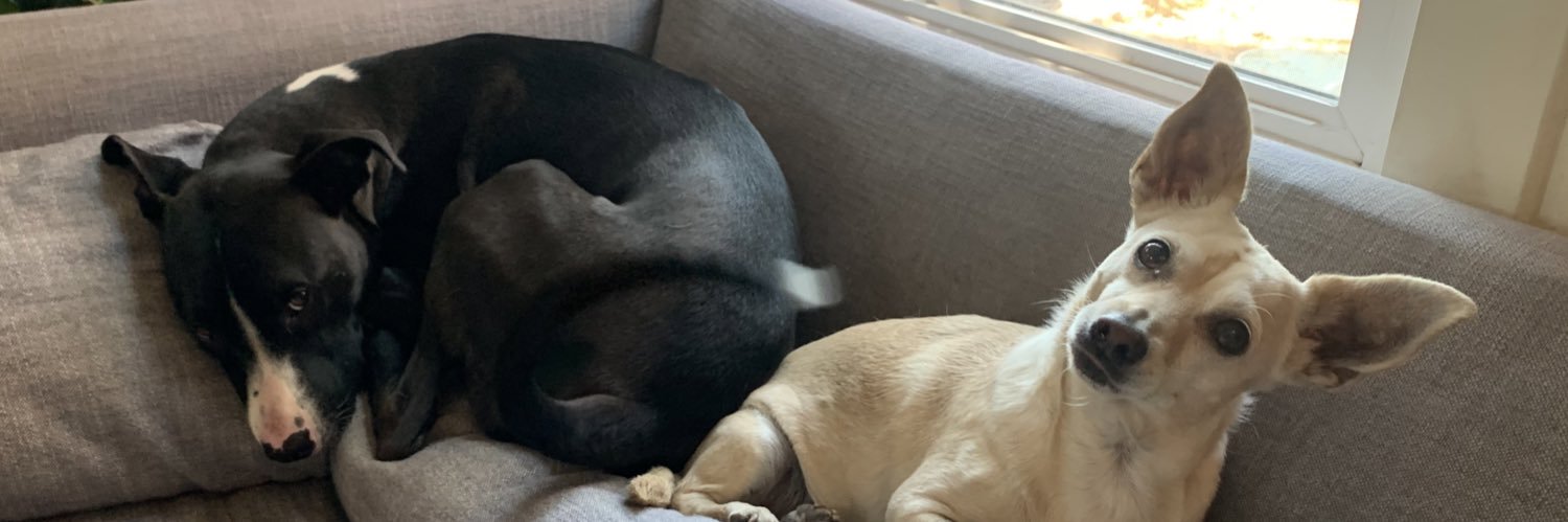 Tal Flanchraych banner