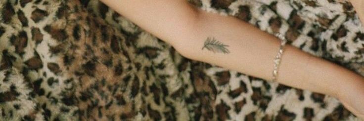clairo lyrics bot banner
