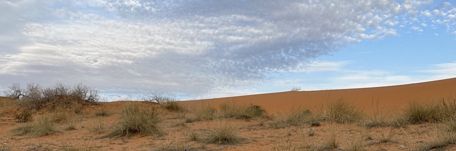Abdulrhman Alshammari banner
