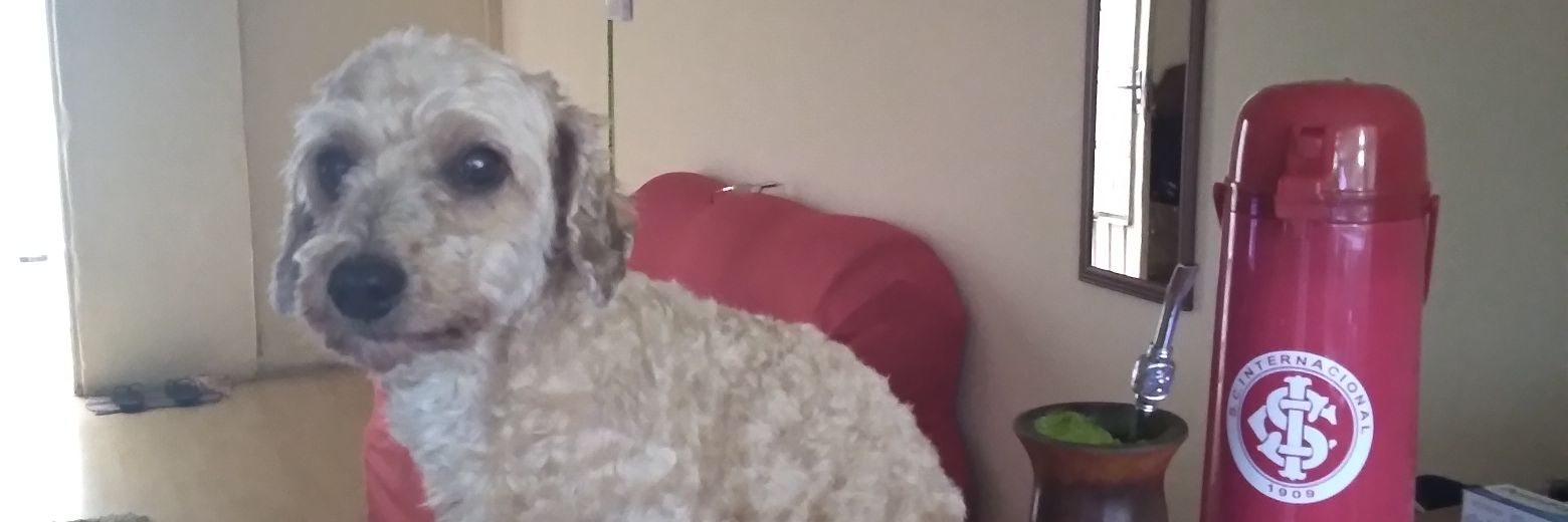 Ronnie Baz oreli banner