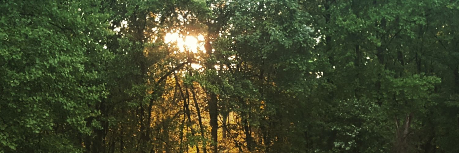 mcg144's profile banner image