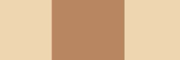 TimeScale_Late Profile Banner