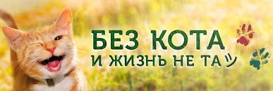 Тень кота banner