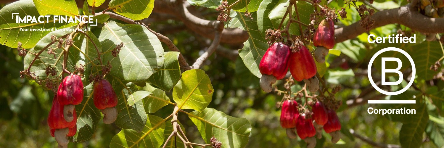 Impact Finance banner