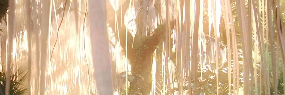sunsun ☼ banner