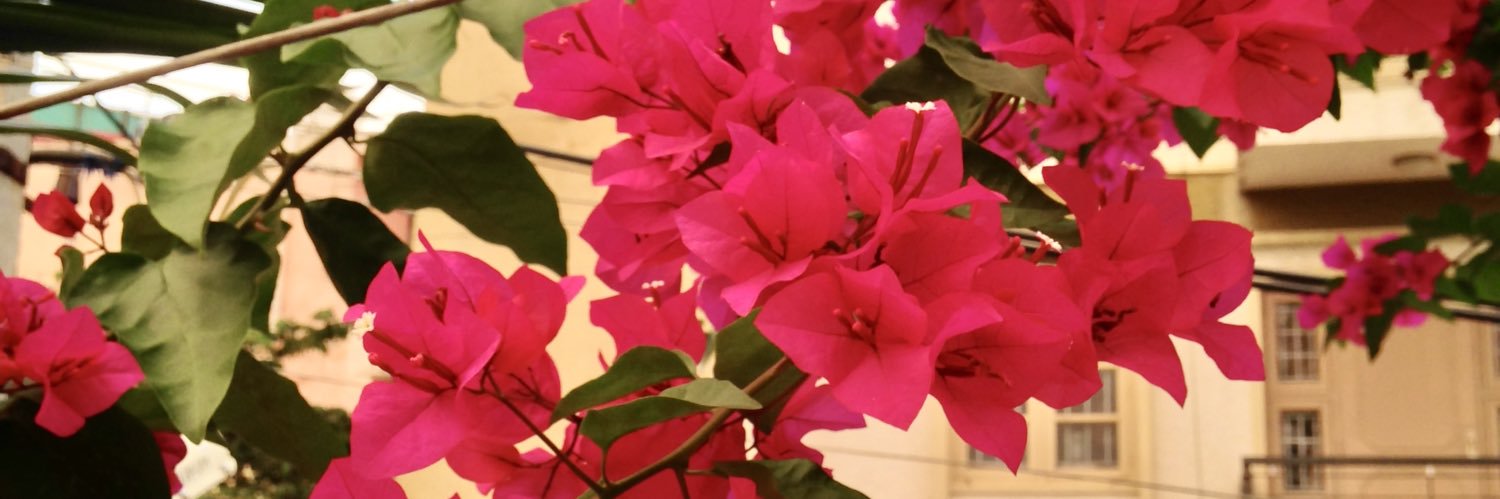 RuthSamuel10's profile banner image