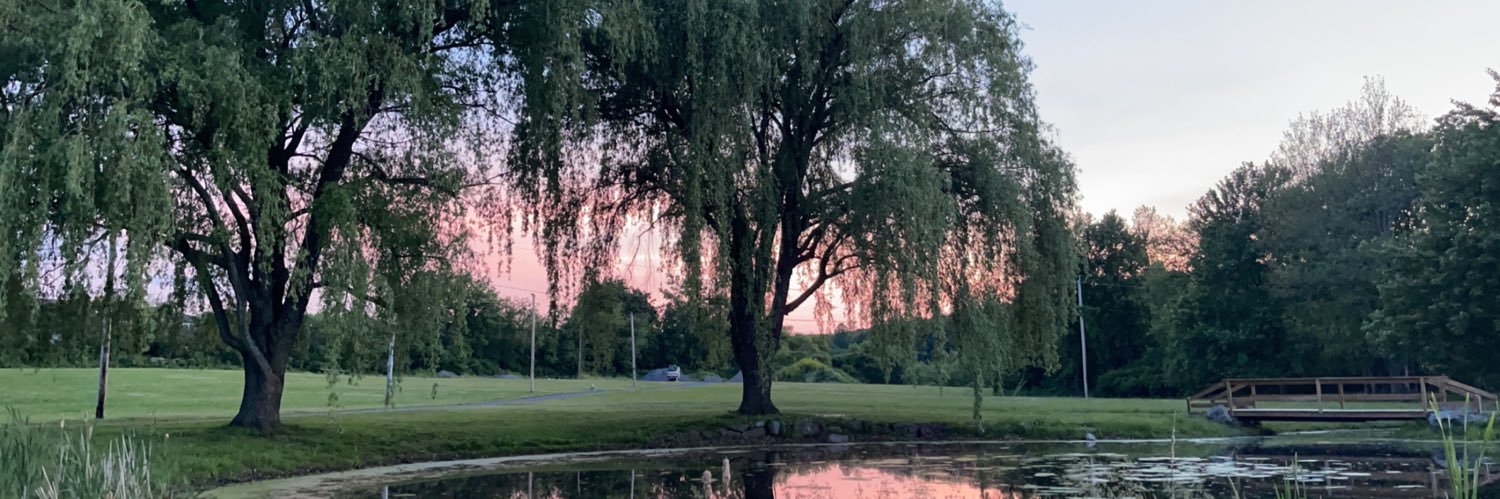 lilschmittt's profile banner image