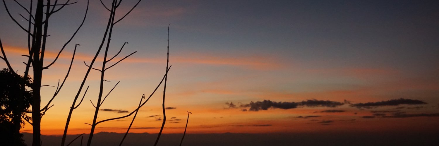 Voyager_th banner
