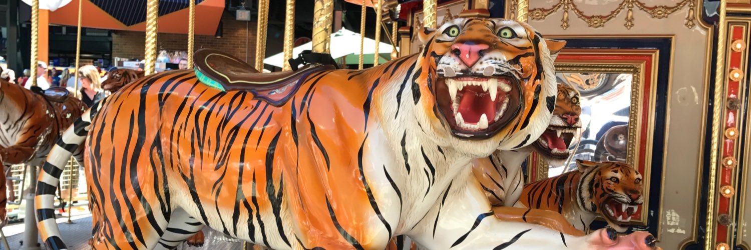 SShehin's profile banner image
