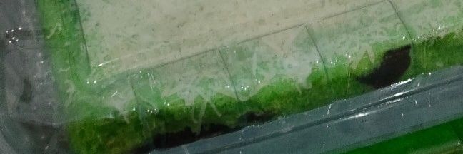 andiloki banner