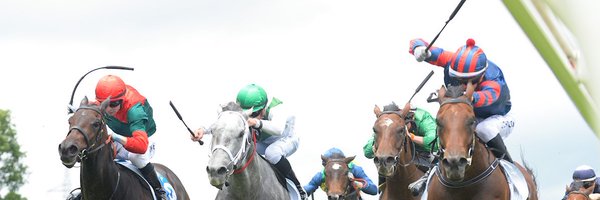 dabernigracing Profile Banner