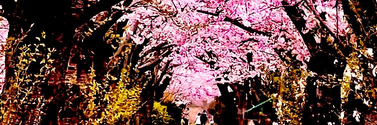 chi 💕's banner