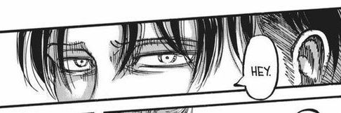 ruii banner