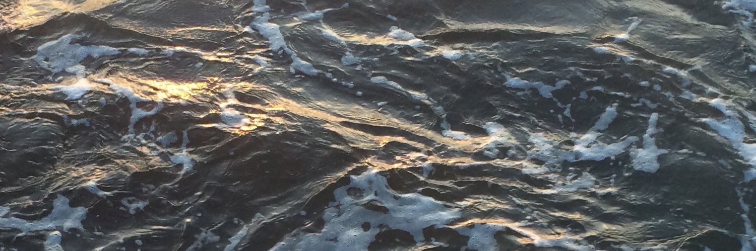 corajayne's profile banner image