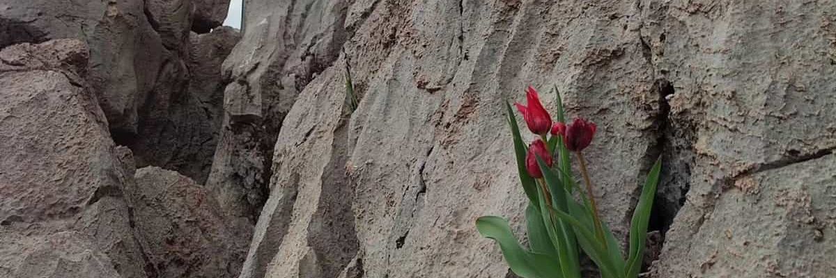 Belçim ☀️ banner