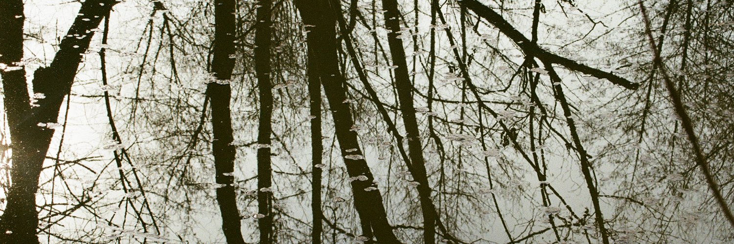 Vittoria Torsello banner
