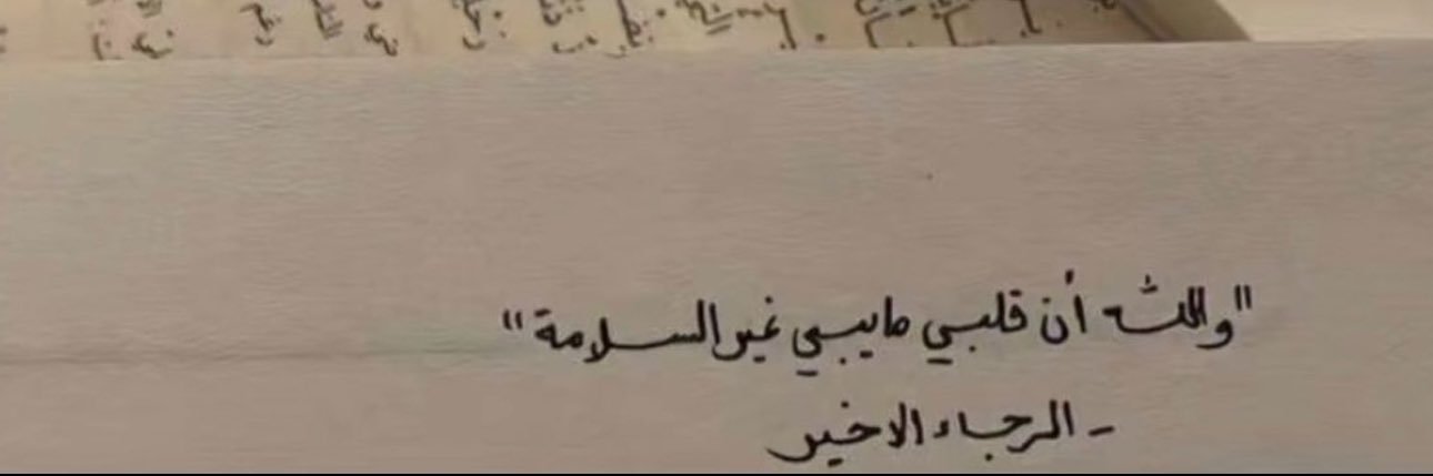 sh_a7ll's profile banner image