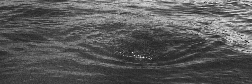 iliveidie's profile banner image