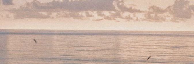 fjr2345's profile banner image
