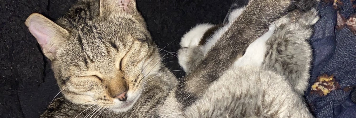 carlos (pumuky’s version) banner